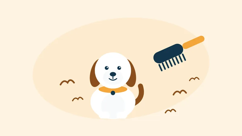 Illustration of a dog with a brush and loose undercoat