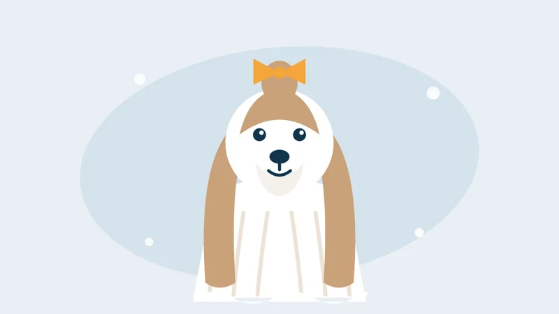 Illustration of a long, silky-coated dog like a Shih Tzu with a topknot